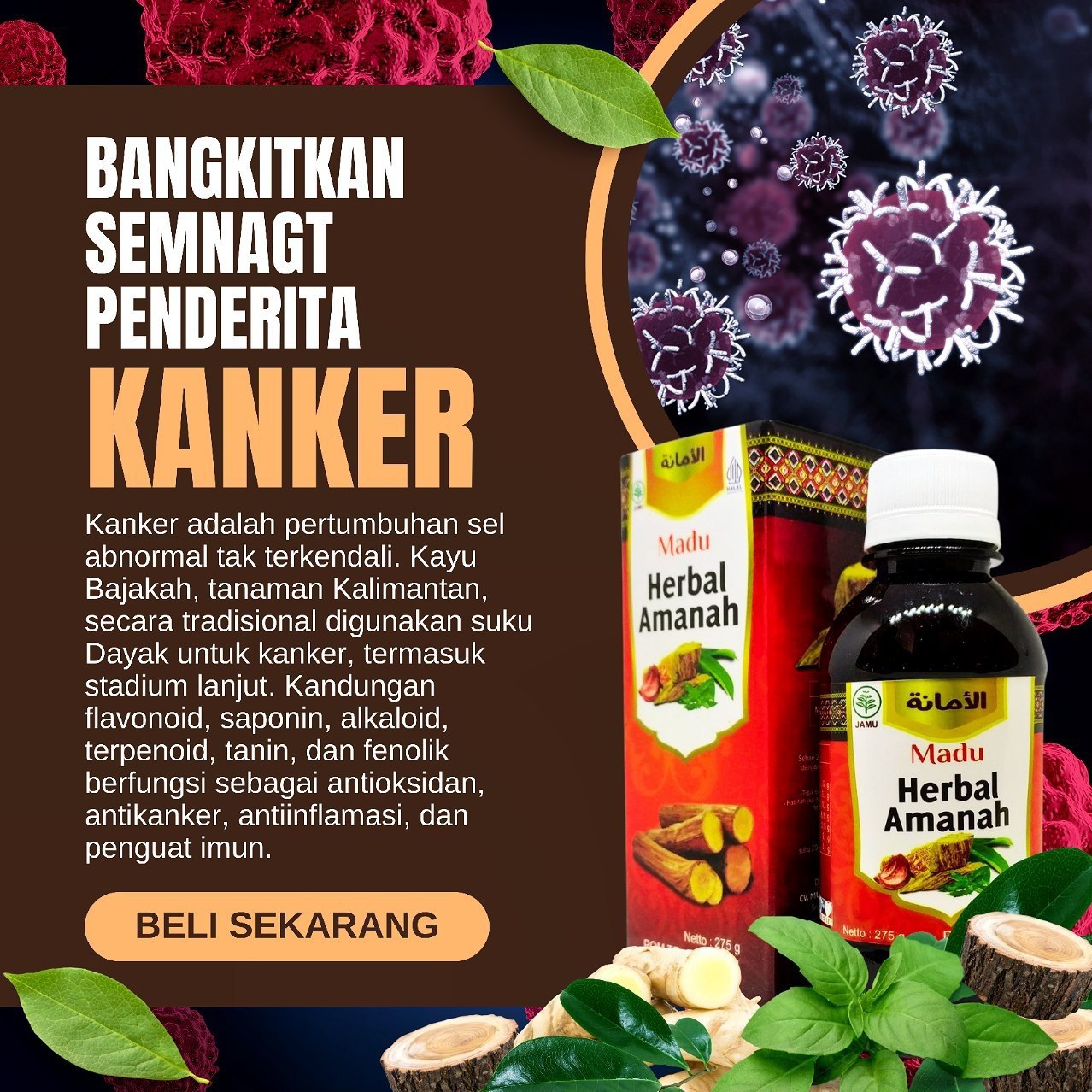 Bajakah