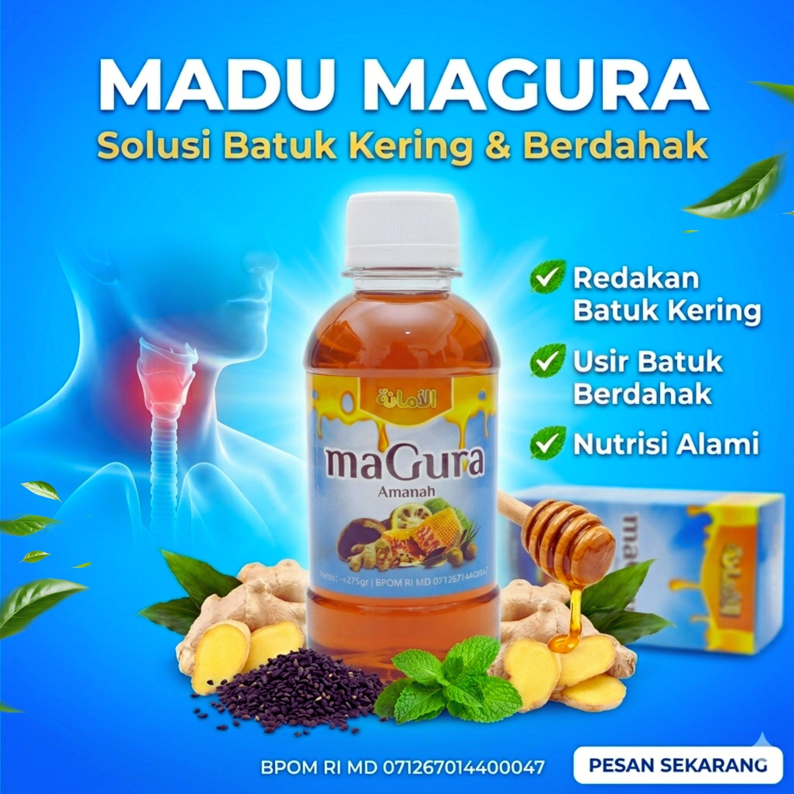 Magura
