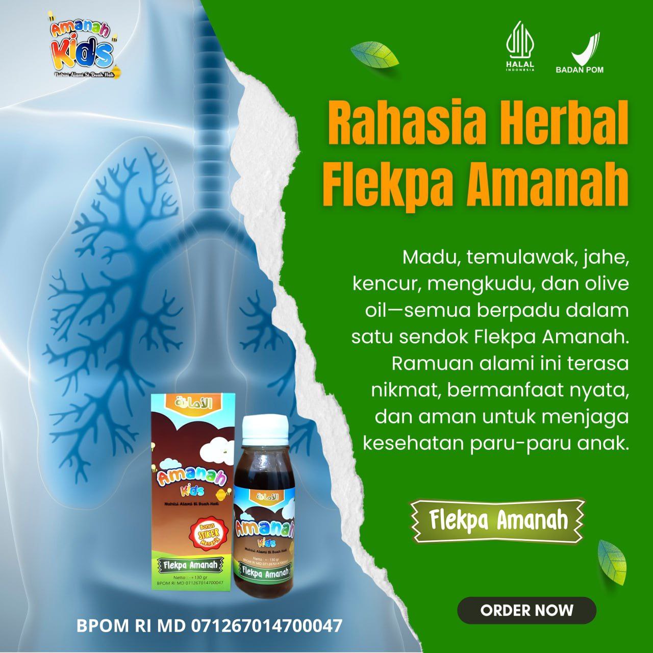 FlekPa