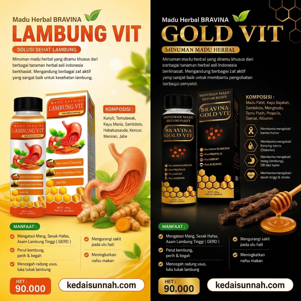 Lambung Vit